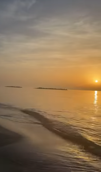 شاطئ النخيل